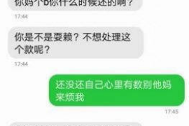 德清德清的要账公司在催收过程中的策略和技巧有哪些？